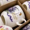 白色陶瓷杯套装 家用简约风 茶杯咖啡杯组合 6件套 Application Scenario
